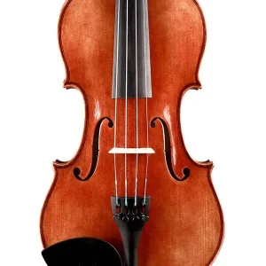 Rudolph RV-1544 viool 4/4 Must-Have