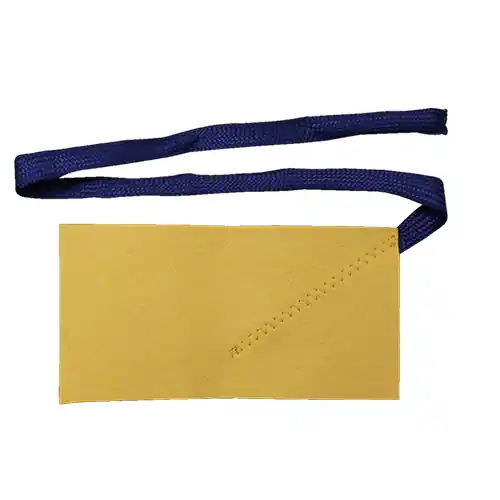 Wisser Helin klarinet 4300 met koord Speciale Aanbieding