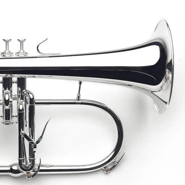 Bb Bugel Van Laar B2 silver plated Aanbieding