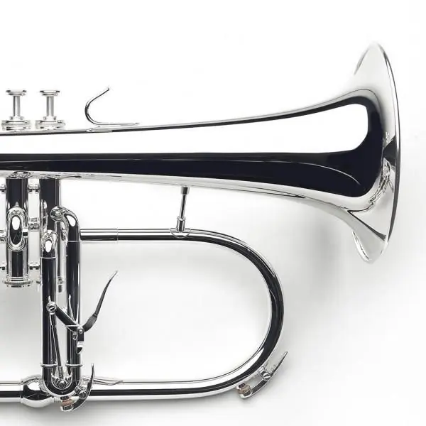 Bb Bugel Van LaarB3 silver plated Direct Verzonden