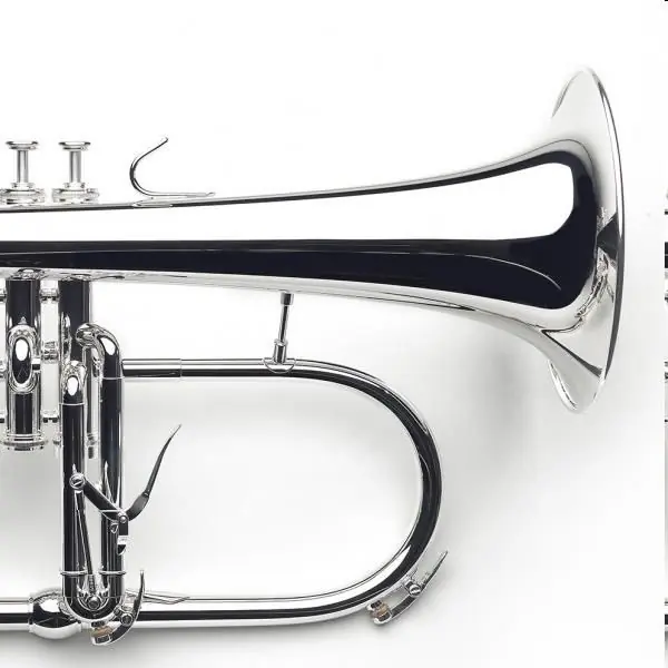 Tijdelijk Beschikbaar Bb Bugel Van Laar BR4 silver plated