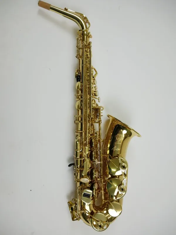 Express Levering Eb Altsax Selmer AXOS met gravure