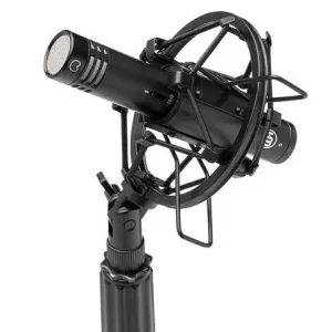 Laatste Kans Warm audio Wa84-C Black