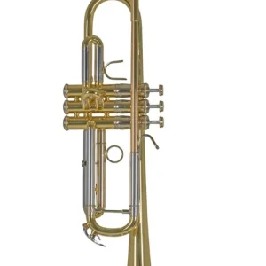 Gratis Verzending Trompet Bb, V.BACH TR450, gelakt in gigbag