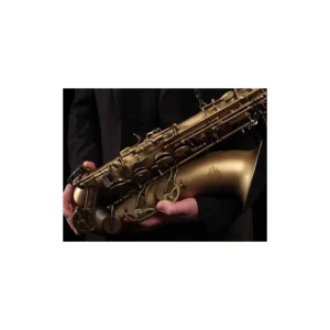 Betaalbaar Le Monde Altsaxofoon Global gelakt