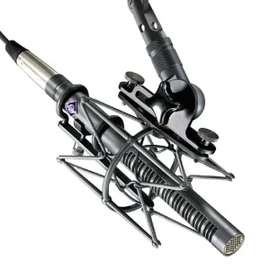 Neumann KMR 81 I MT Lage Kosten