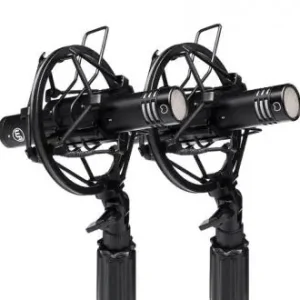 Warm audio Wa84-C Paire Black Snelle Levering