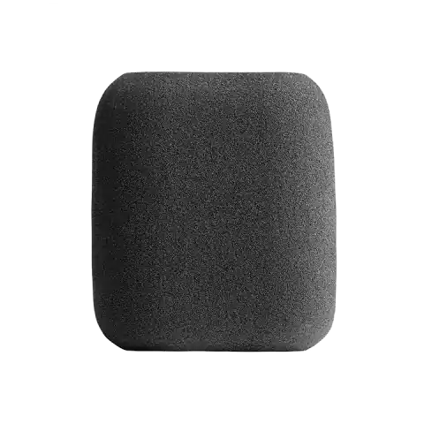 Beste Prijs Austrian audio OCW8 Windshield