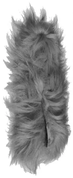 Sennheiser MZH 60-1 Koopje