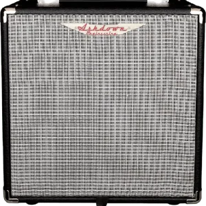 Basversterker Ashdown 30 watt 1 x 8" Gratis Verzending