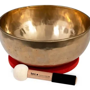 Betrouwbaar Sela SEL266