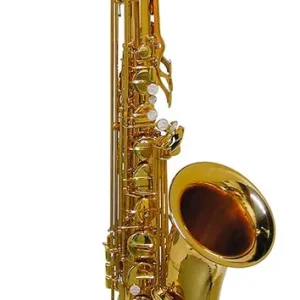 Laatste Kans Stewart Ellis SE-720-L tenorsax