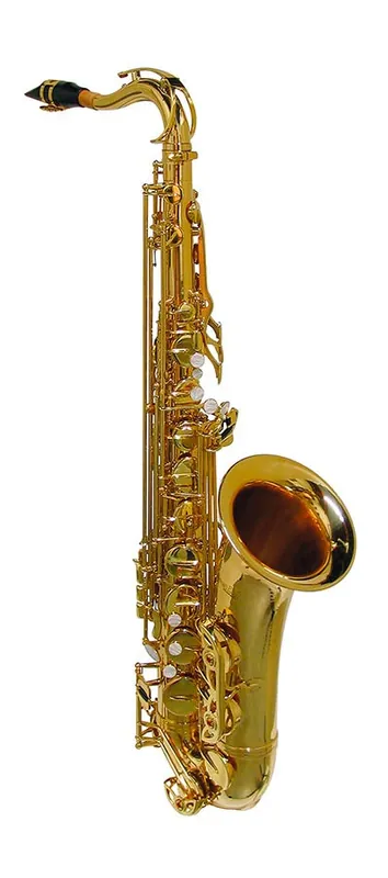 Laatste Kans Stewart Ellis SE-720-L tenorsax