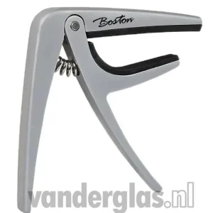 Capo D'Astro Boston BC-85-TI elektrisch en akoetisch Merkproduct