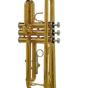 Gecertificeerd Stewart Ellis SE-1800-L trompet