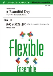 A Beautiful Day - Flexible Trio Laatste Kans