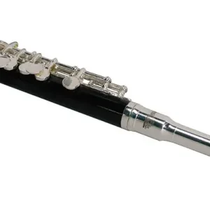 Stewart Ellis SE-100-S piccolo Favoriet