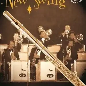 Veilige Betaling New Swing