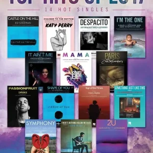 Top Hits of 2017 (PVG) Gecertificeerd