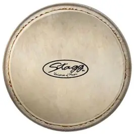 Stagg DPY-10 HEAD Veilige Betaling