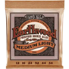 Alleen Vandaag Ernie Ball Earthwood Acoustic Phosphor Bronze Medium Light 2146
