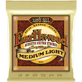 Ernie Ball Earthwood Acoustic 80/20 Medium Light 2003 Koop Vandaag
