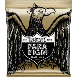 Superprijs Ernie Ball PARADIGM Acoustic Medium Light 2086