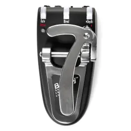 Gamechanger Audio Bigsby Pedal Gratis Verzending