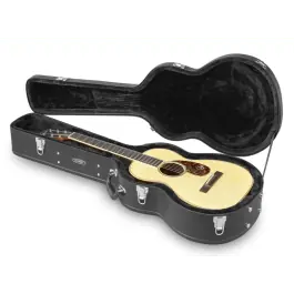 Access Stage 3 Parlor Acoustic Case Nieuw