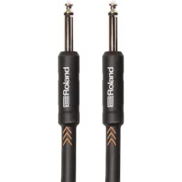 Roland RIC-B10 Koop Online