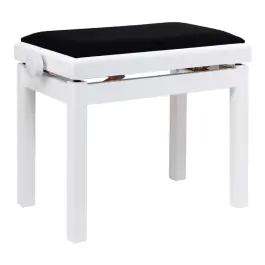 Stagg PB06G WHM VBK Bestel Nu