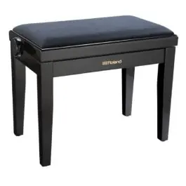 Direct Verzonden Roland RPB-220BK