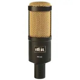 Alleen Vandaag Heil Sound PR 40 Black/Gold
